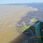 2013 Amazon Niger RIver 7 miles without Mixing
